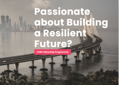 Coalition for Disaster Resilient Infrastructure (CDRI) Fellowship Programme
